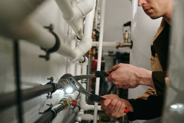 Best Drain Cleaning Services  in Williamstown, PA