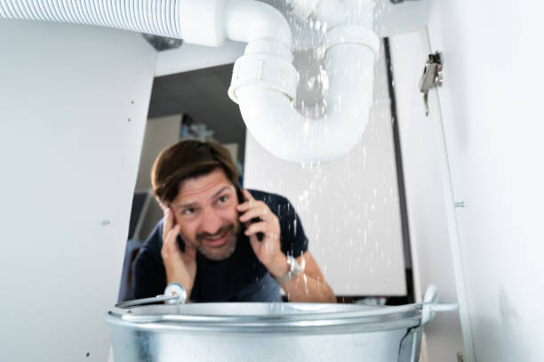 Best Affordable Plumbing Services  in Williamstown, PA
