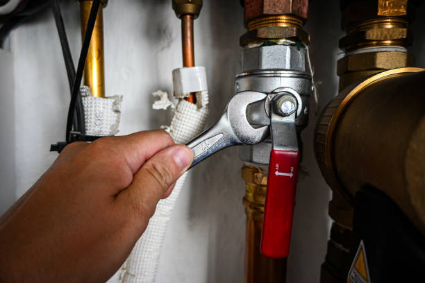 Best Toilet Repair Services  in Williamstown, PA